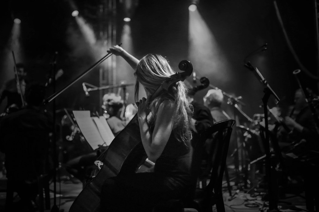 צילום תדמית