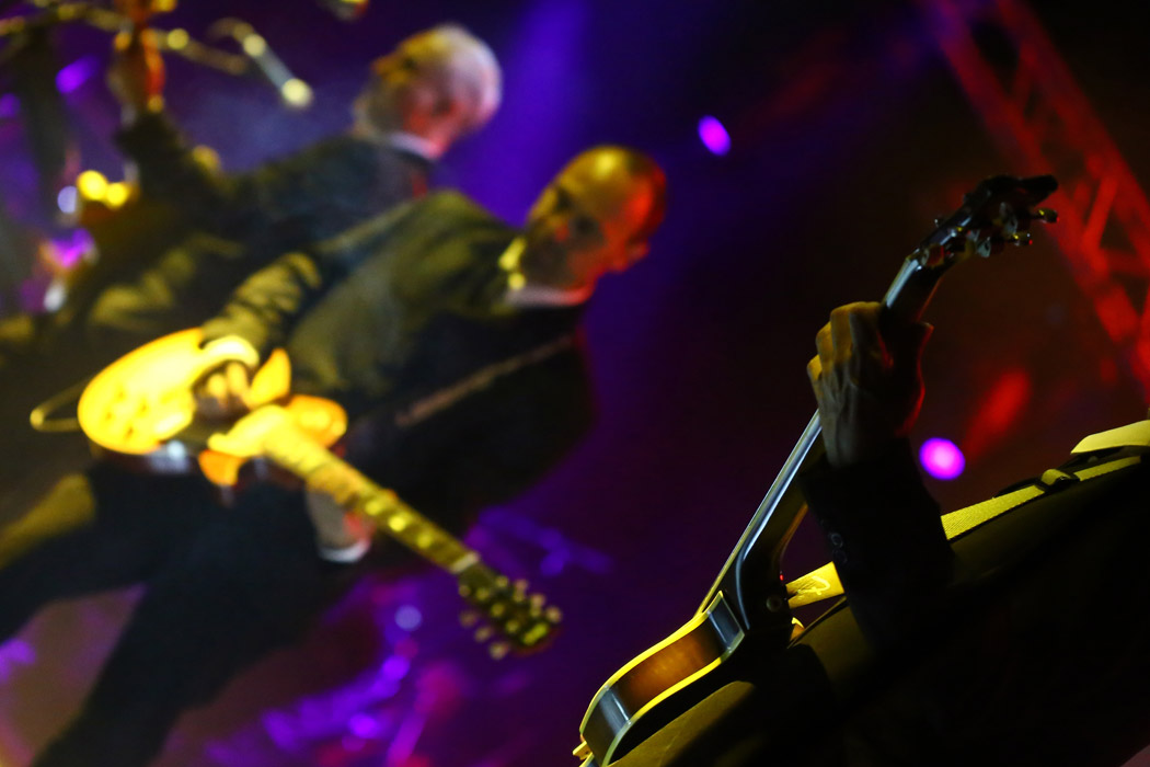 צילום תדמית