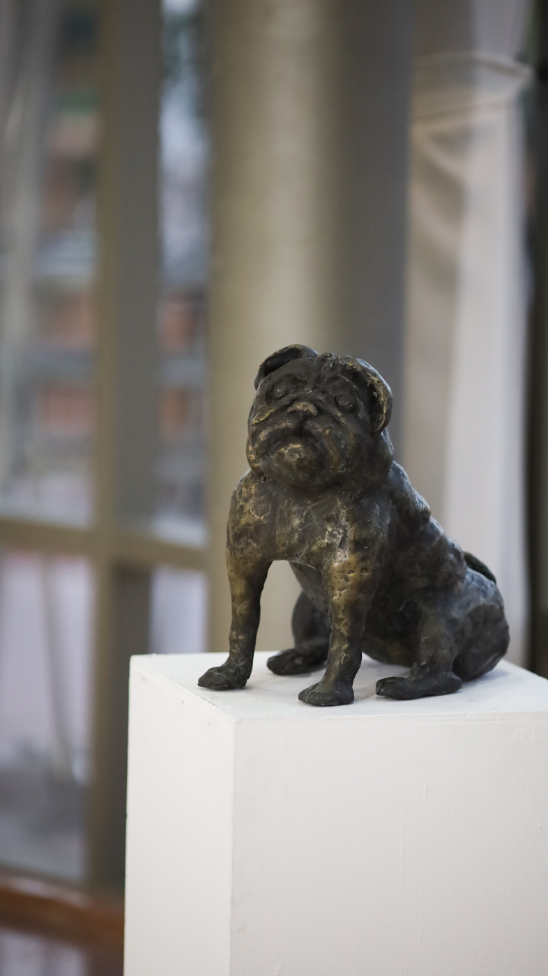 צילום תדמית