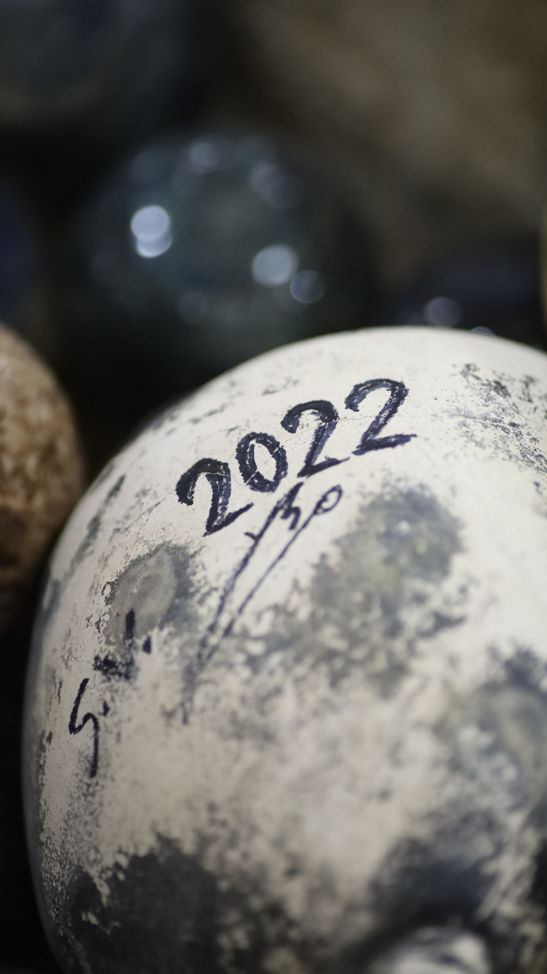 צילום תדמית