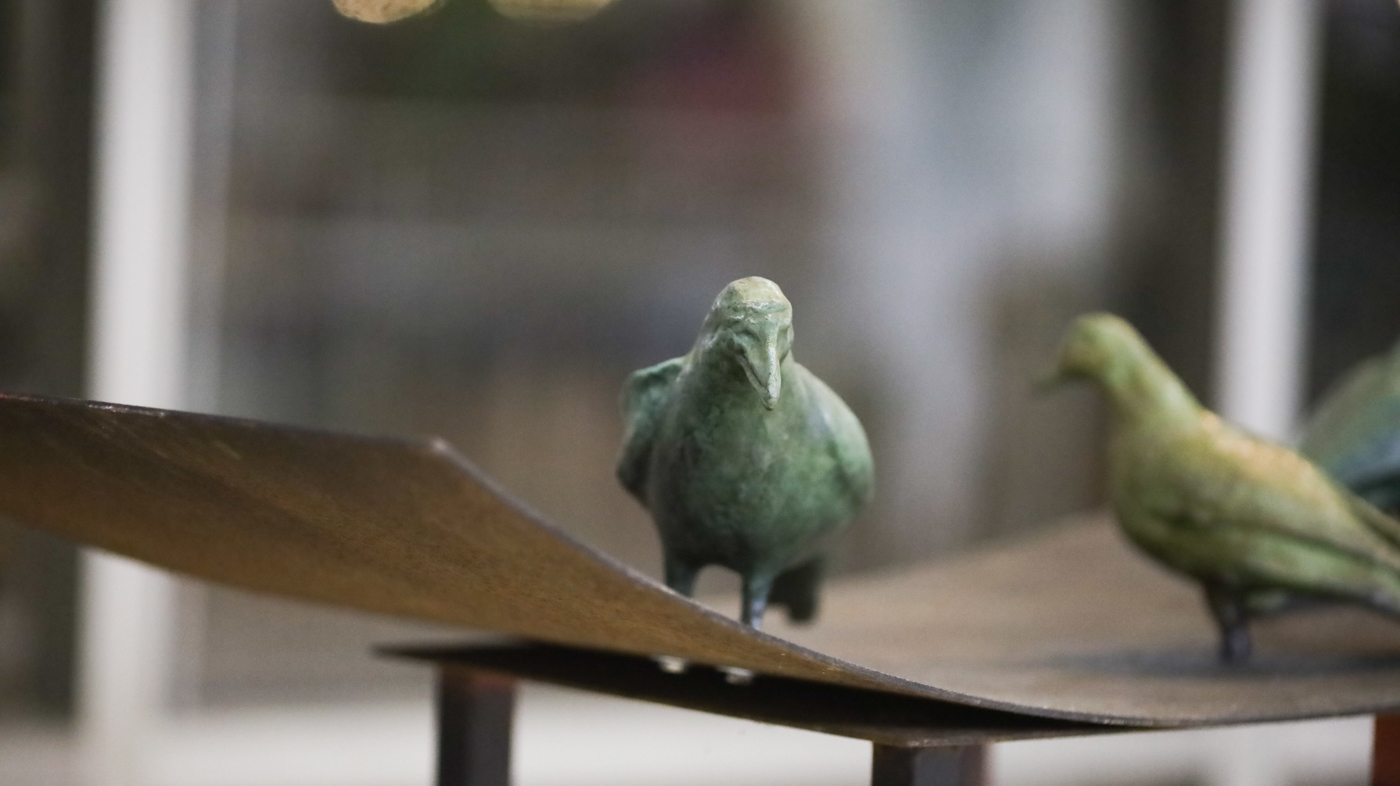 צילום תדמית