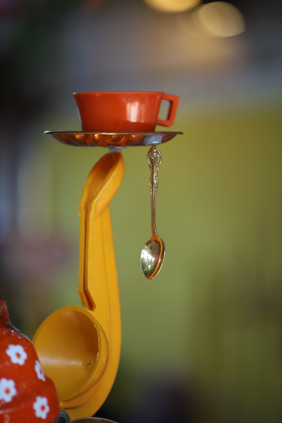 צילום תדמית