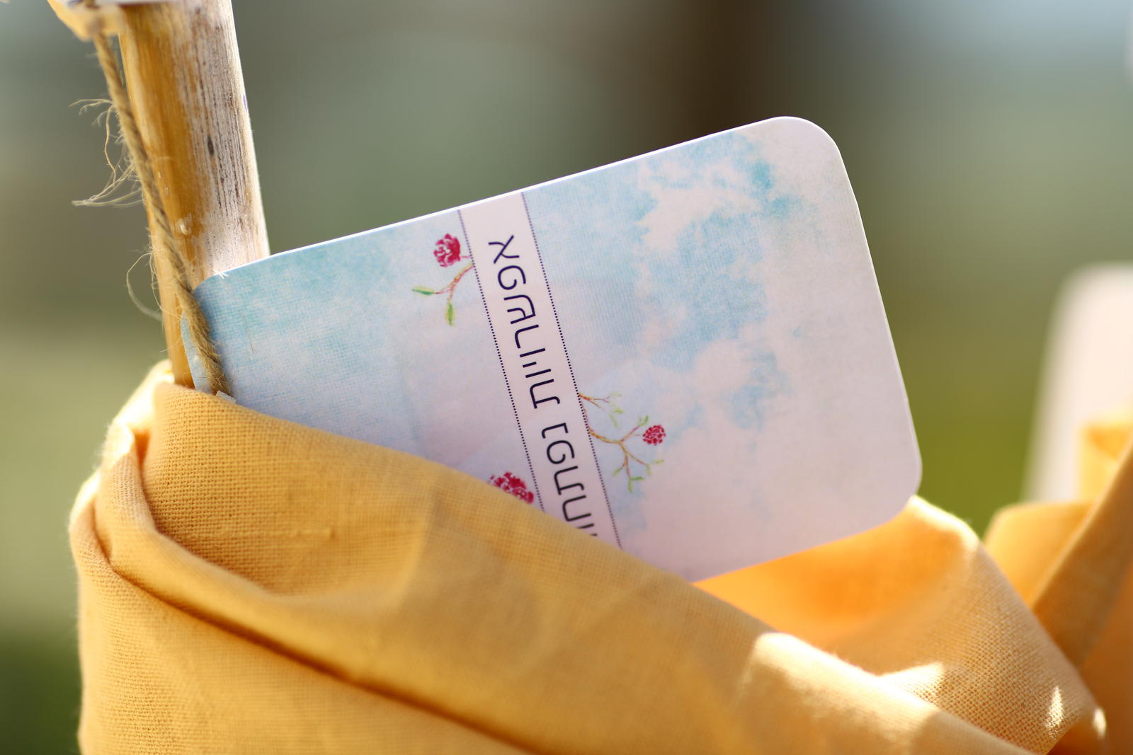 צילום תדמית