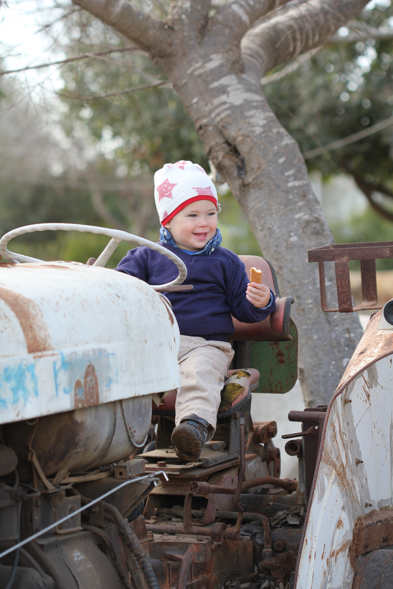 צילום דיוקן