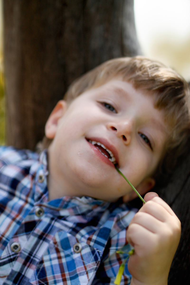 צילום דיוקן